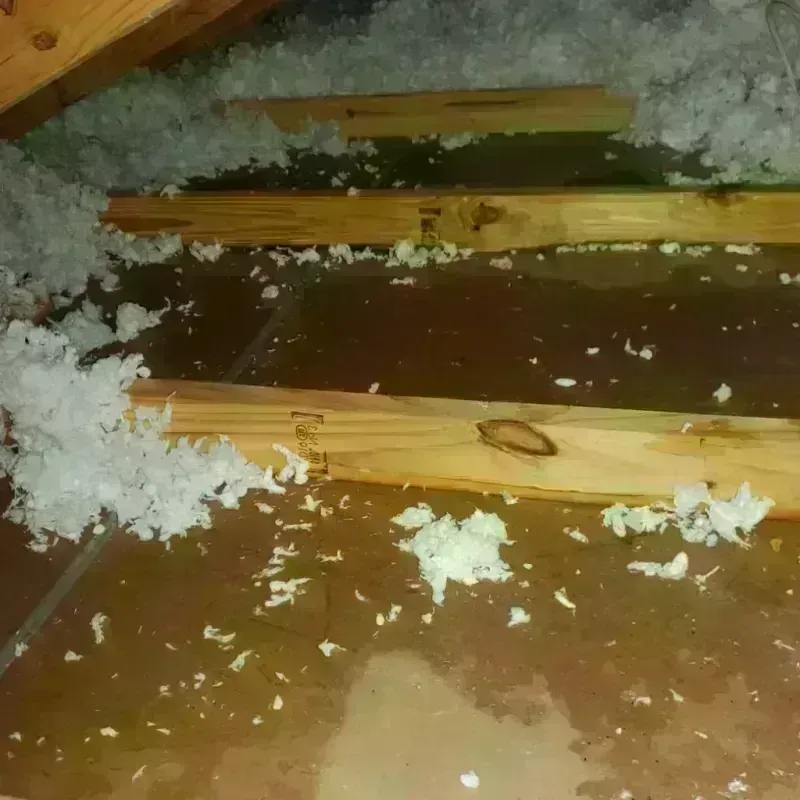 Attic Water Damage in Rayne, LA